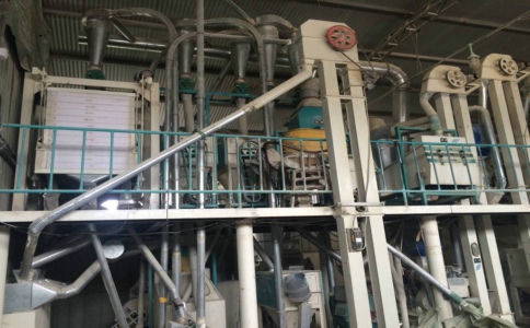 如何提高玉米加工機(jī)械輸送帶的使用年限?(圖2) 玉米加工機(jī)械